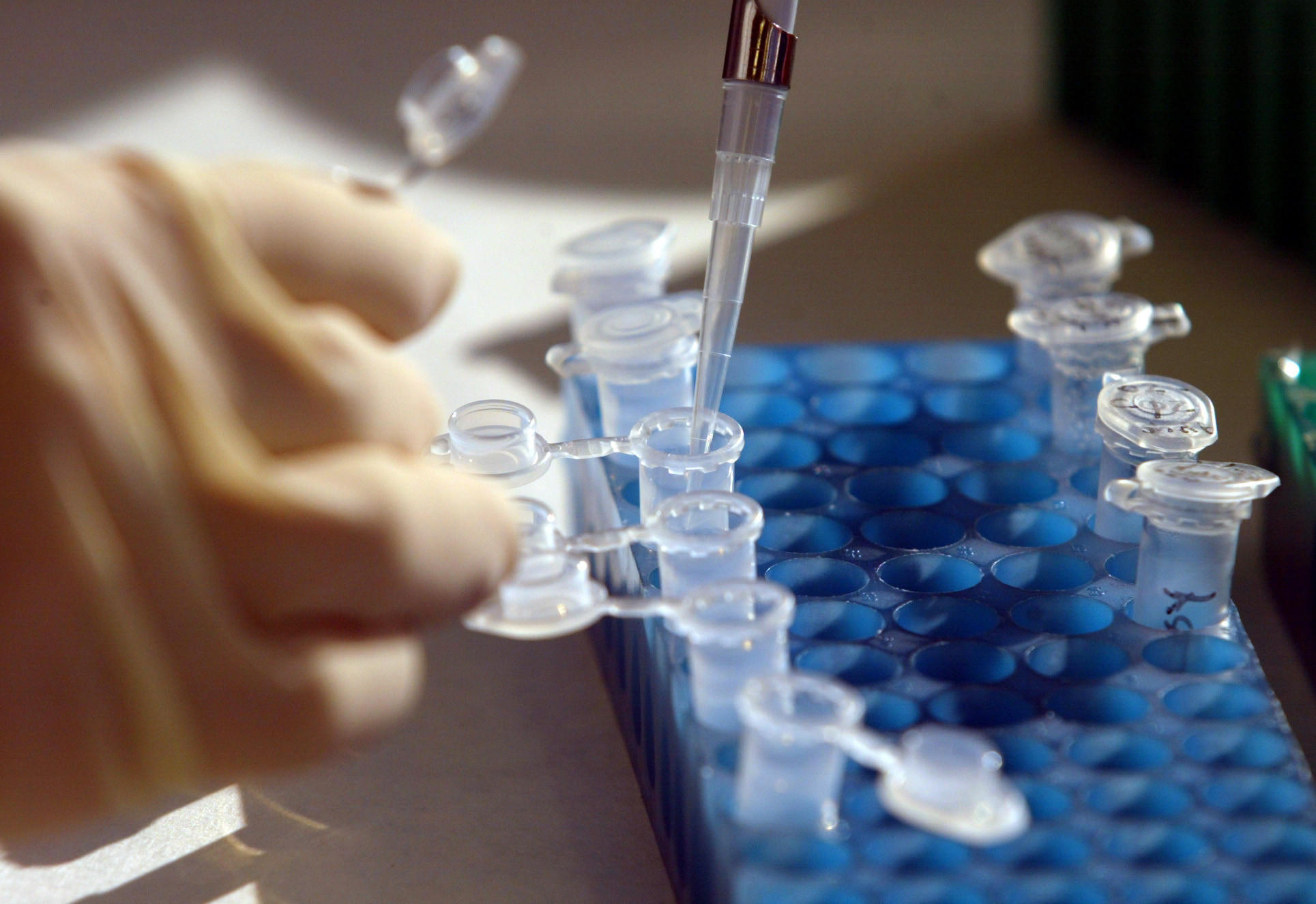 FBI Wants Your DNA And Will Get It post thumbnail image