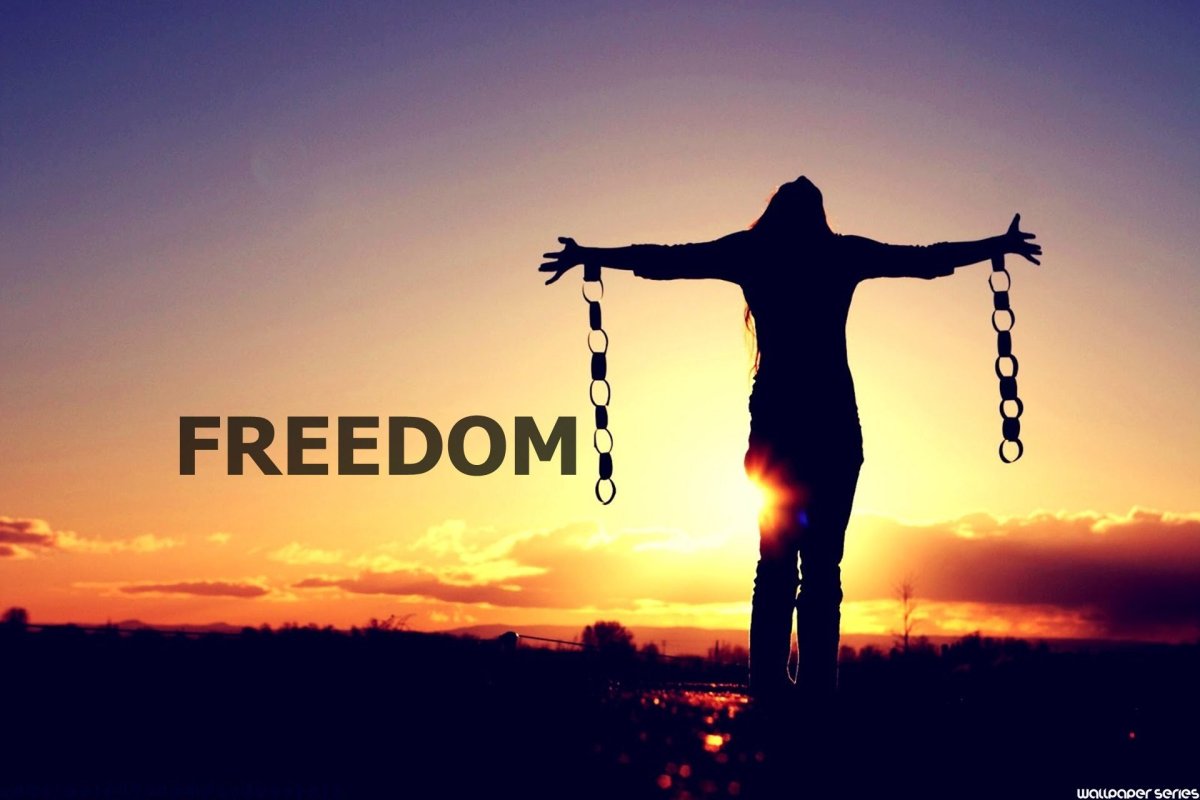 Freedom Is Fragile post thumbnail image